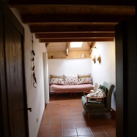 Bed and Breakfast In Plait Cercivento Экстерьер фото