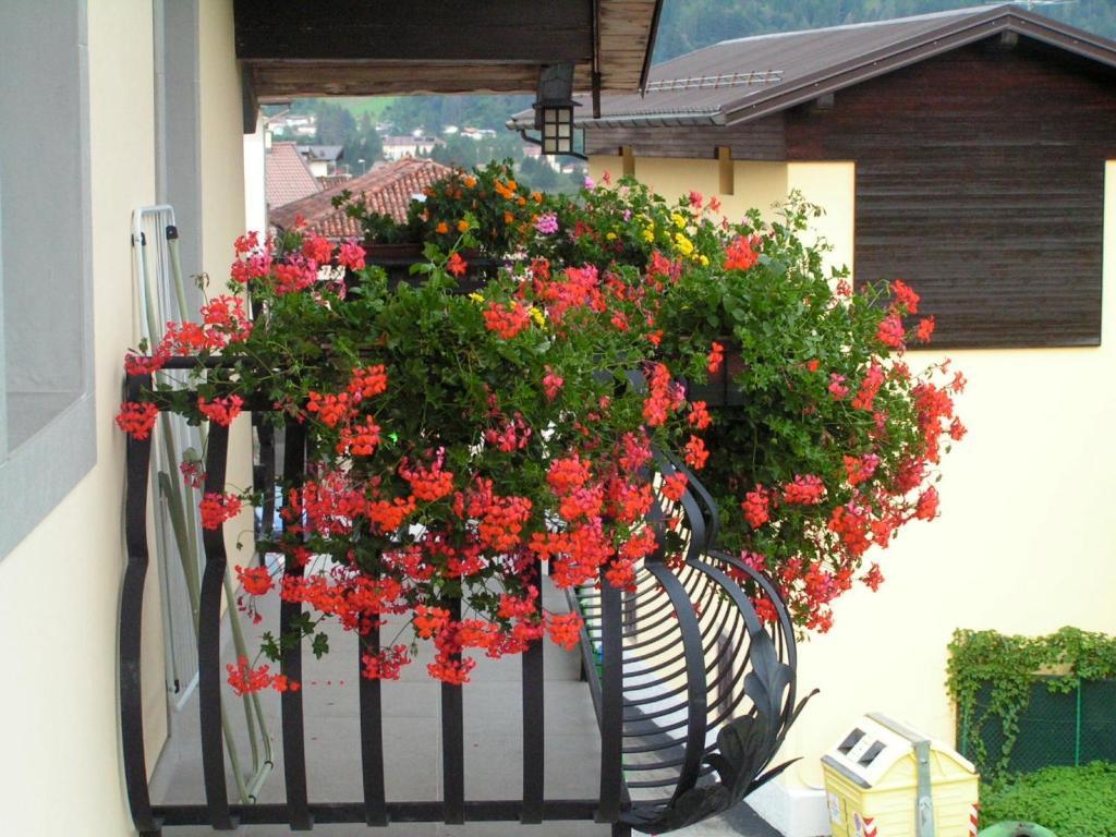 Bed and Breakfast In Plait Cercivento Экстерьер фото